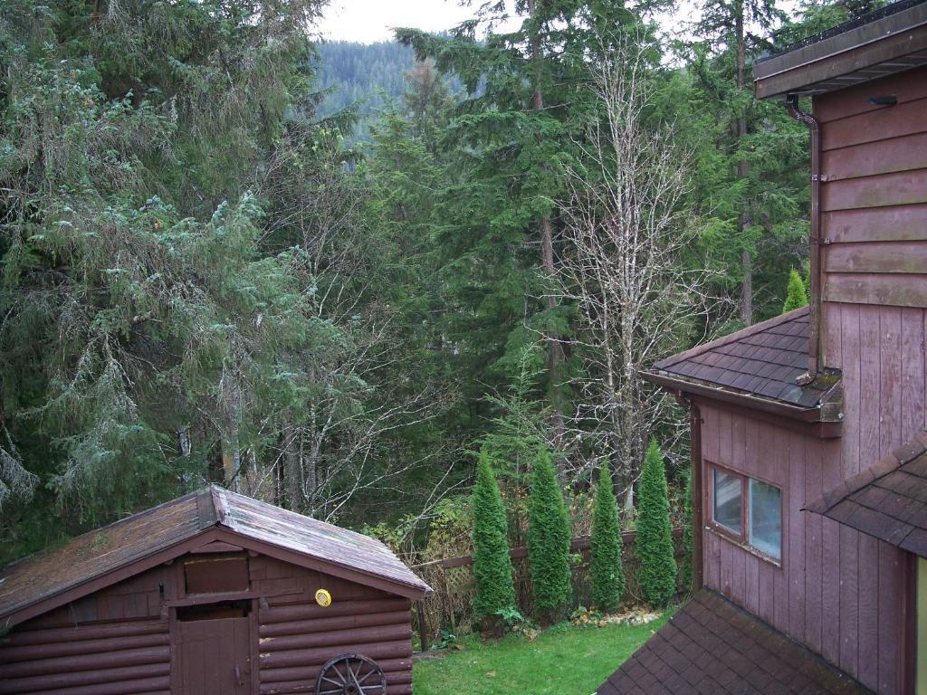 Tall Trees Bed & Breakfast Prince Rupert Pokoj fotografie